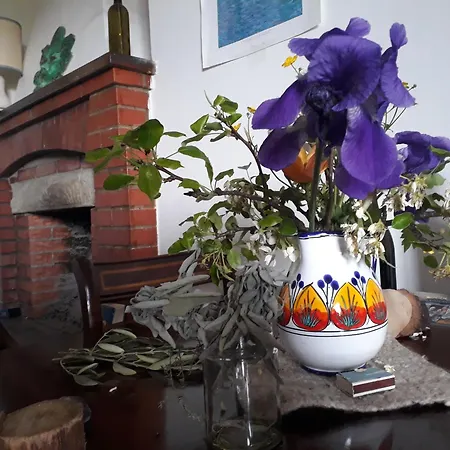 Ospitalita Frate Sole Entire House Holiday home *